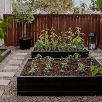 Raised garden bed ideas for summer cottages