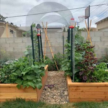 Ideas for raised garden beds with trellises