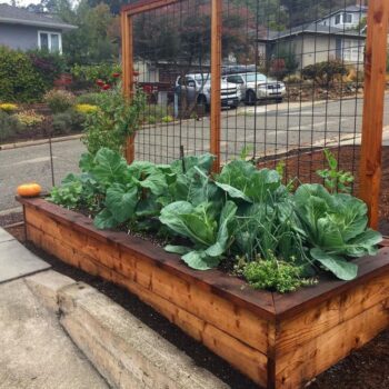 Raised Vegetable Garden Bed Ideas