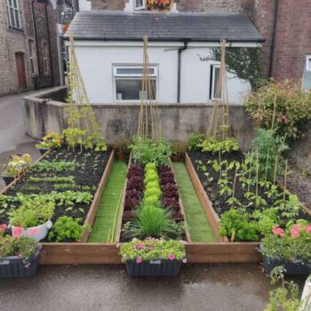 Raised Garden Bed Arrangement Ideas